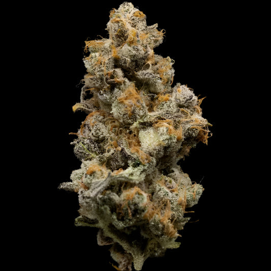 SuperBoof