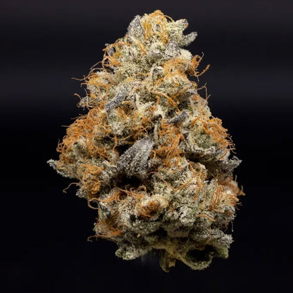 Georgia Pie hemp flower by Bubba’s Colorado, sweet peachy aroma with creamy undertones