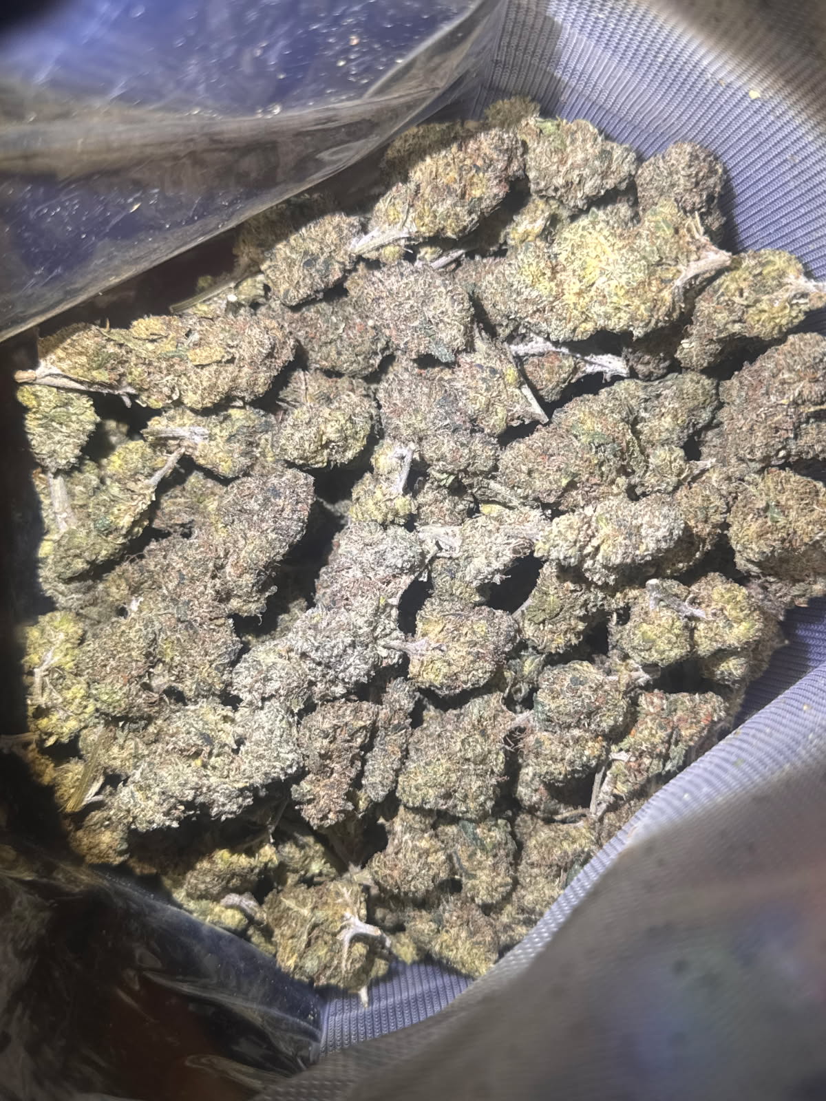 Runtz Strain | Indoor Flower
